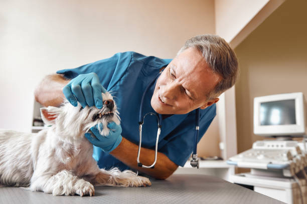 Best Emergency Dental Care for Sports Injuries in Weatherford, OK